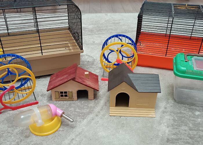 Grajewo ogłoszenia: Sprzedam akcesoria dla chomika